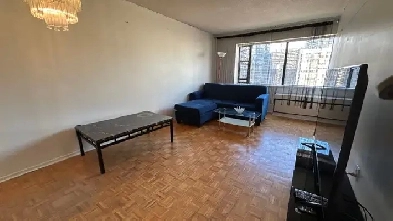 Furnished one-bdr apt, Yonge-Gerrard, asap