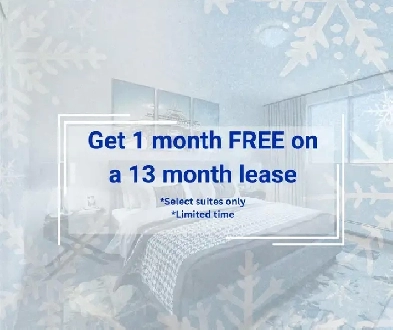 Studio Apartment for Rent - 206 Lakeshore Road East