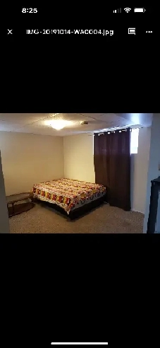 one room for rent in the basement Image# 1