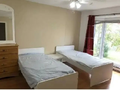 ROOM ON SHARING BASIS FOR RENT IN BARRHAVEN Image# 1