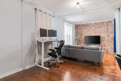 Magnifique appart style loft Plateau Montroyal bien situ image