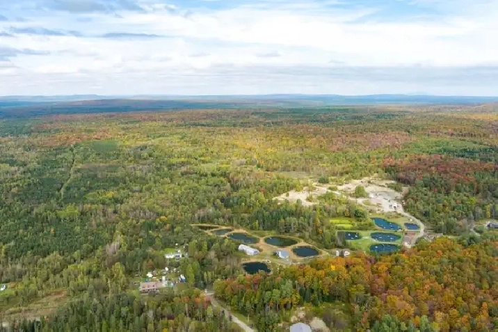 La Patrie, Hampden, 111 acres, étangs, maison in Sherbrooke,QC - Houses ...