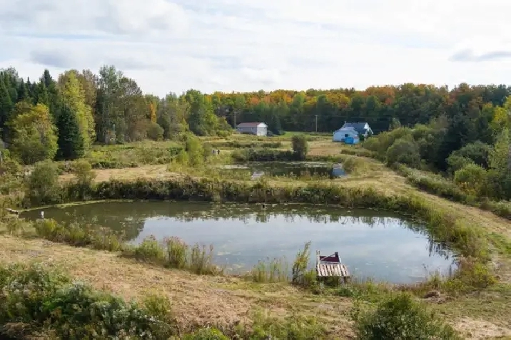 La Patrie, Hampden, 111 acres, étangs, maison in Sherbrooke,QC - Houses ...