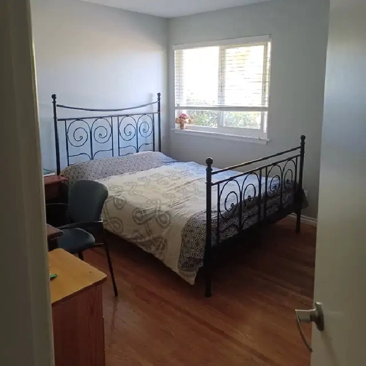 Room in a fully renovated house in Vancouver,BC - Room Rentals & Roommates