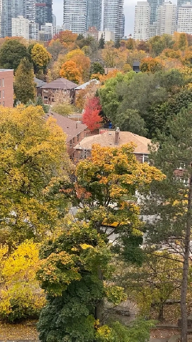 Room furniture for Rent Image# 1