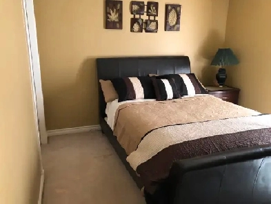 Bachelor(ette) Accommodations