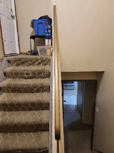 Basement Rental (Millwoods)