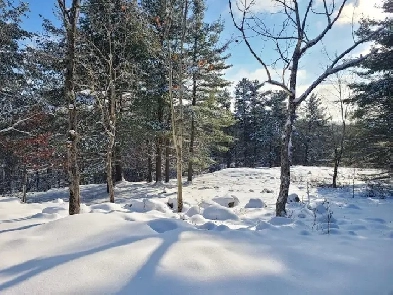 Scenic Hilltop Building Lot – Trailside at Chaffeys Image# 7