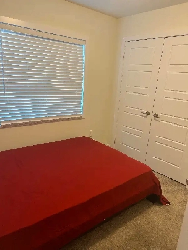 Room for Rent Image# 1