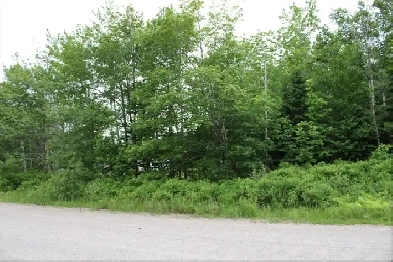 1.4 Acres Near Port Hawkesbury Image# 1