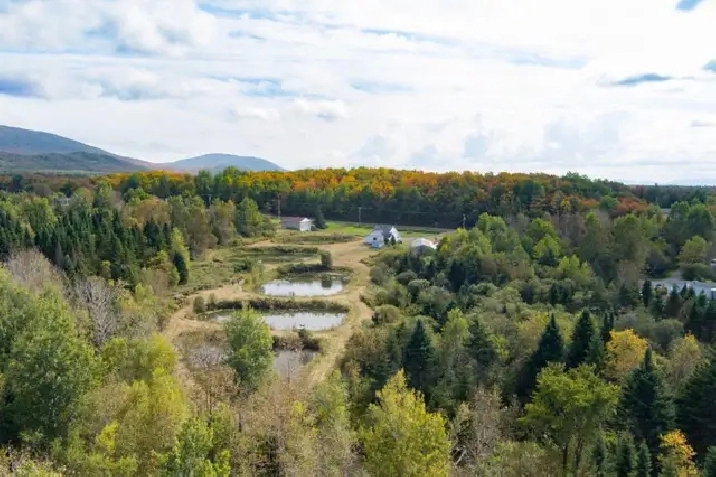 La Patrie, Hampden, 111 acres, étangs, maison in Sherbrooke,QC - Houses ...