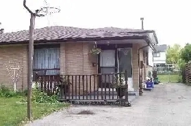 3 Bedroom Home For Rent Near Hansen Road N & Vodden St E Image# 1