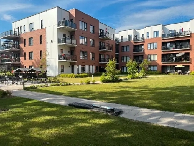 31/2 à louer (421) libre 1er juillet 2025