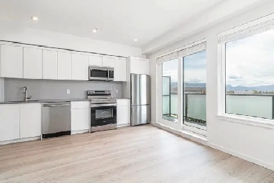 Brand New Studio Home