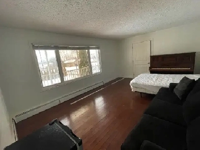 Furnished rooms for rent near the mall Image# 6