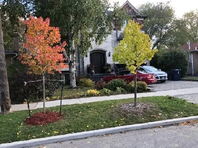 Furnished One Bedroom Basement Apt ,Floor Heating with Parking Image# 3