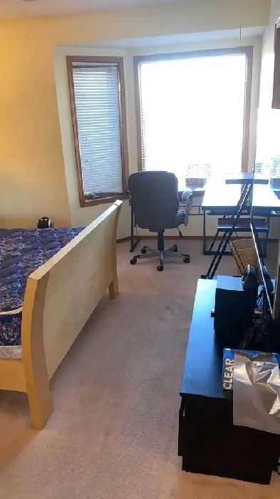 Bright and Spacious MASTER BEDROOM with PRIVATE BATHROOM