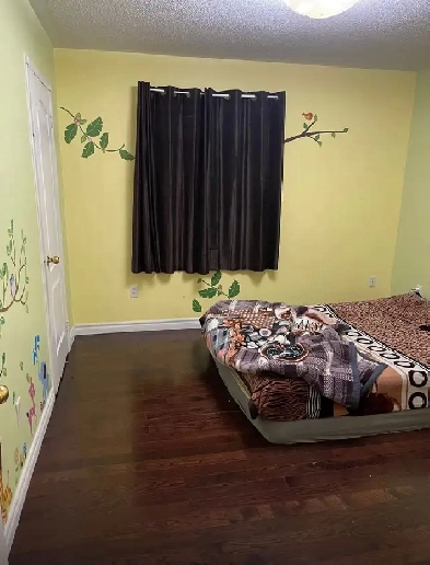 room rent for girls only Image# 1