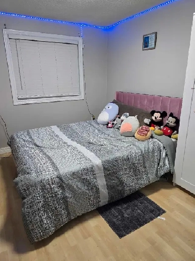 Private room for rent - short term Image# 1