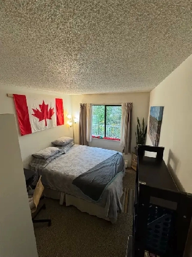 Roommate wanted Image# 1