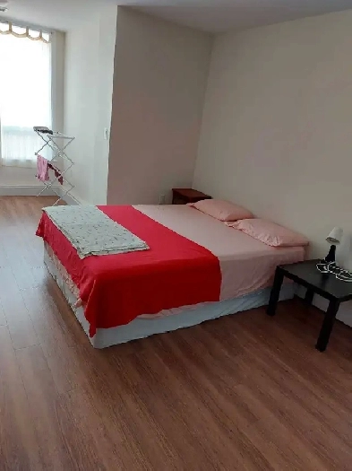 Available now: Furnished room for a female with separate bath Image# 2