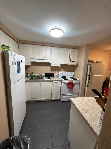 newly renovated 5 bedroom house 66 rodgers road house 54 Image# 1