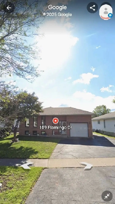 109 Flamingo Dr 1 bdrm Everything includ Image# 1