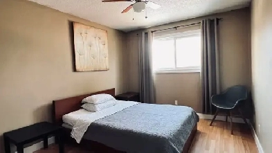 Room For Rent Close to NAIT Kingsway Mall Edmonton Image# 1
