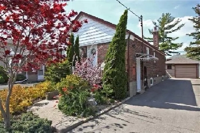 Basement apartment in East York Image# 1