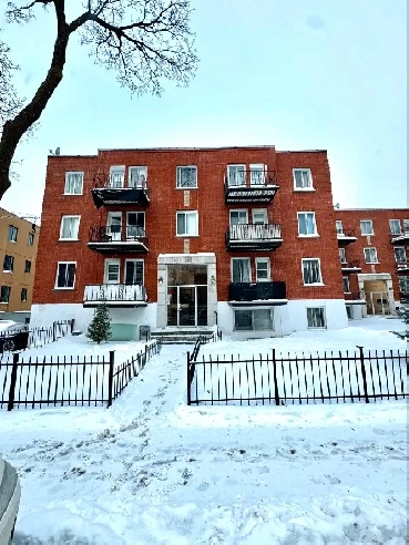 L’appartement 41/2 à louer dans un Quartier tranquille de NDG Image# 1