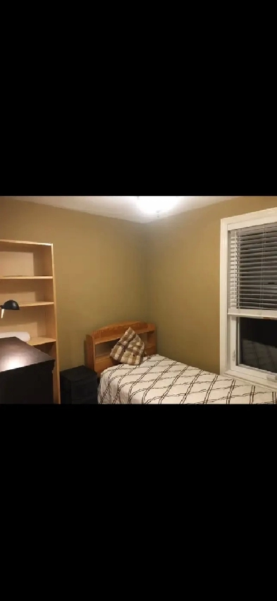 room for rent , downtown @ bloor & Dufferin Image# 2