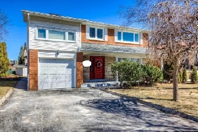 Upper Floor Bedroom, Cawthra/Burnhamthorpe (5 min Square one) Image# 1