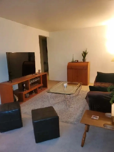 $1150 Private Room For Rent in 2 BR Apartment (Vancouver) Image# 1