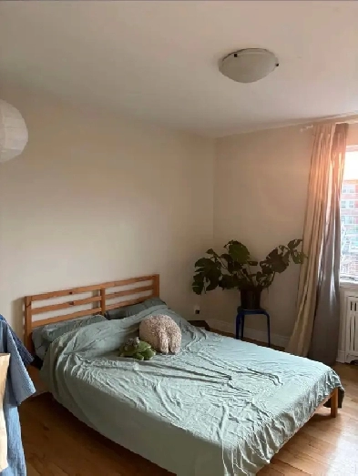 SOUS LOCATION/ CESSION DE BAIL 3 1/2 COTÉ DES NEIGES