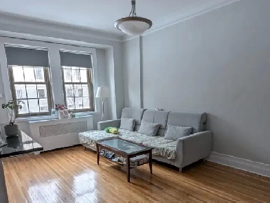 Downtown west  Sunny side apartment