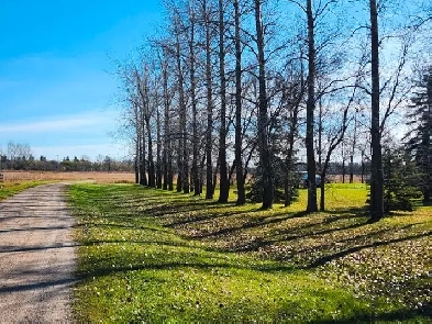 27.2 ACRES FOR SALE FOR DEVELOPMENT IN STE. ANNE MB Image# 8