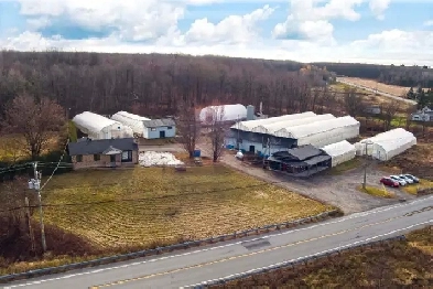 Granby, ferme légumes en serres, 3,42 acres Image# 1