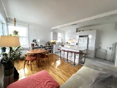 3 1/2 Rosemont chauf-Entrée-1 ch/réno/Terrasse-2e ave/Beaubien Image# 1