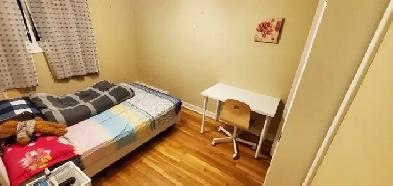 ROOM FOR RENT NEAR BEDFORD HIGHWAY ! Image# 1