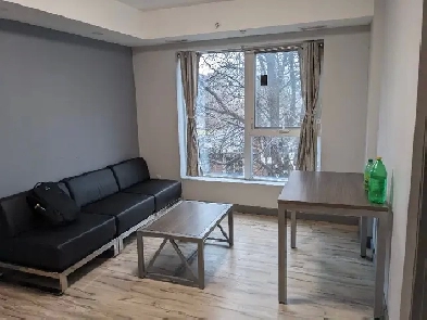 Apartment for Rent Image# 1