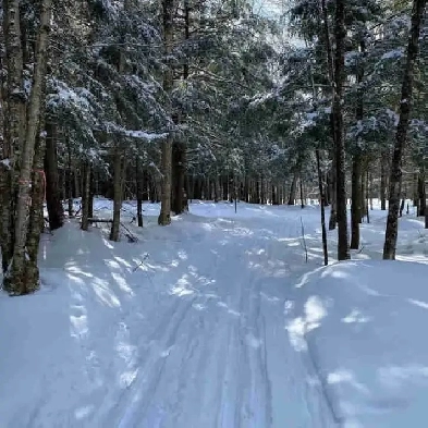 maison à vendre Image# 1