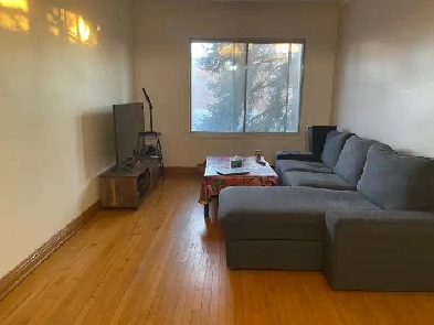 location 5 et demie Image# 1