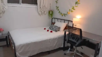 FULLY FURNISHED ROOM FOR RENT—MALE TENANT ONLY