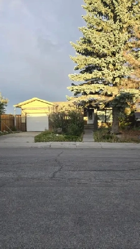 Main Floor Rent Image# 1