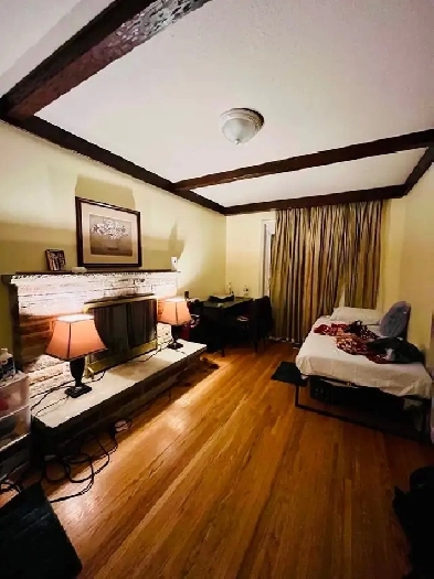 Room for rent (February only)