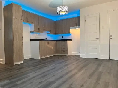 TRANQUILLE GRAND 41/2 RÉNOVÉ AVRIL Image# 1