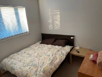 Quiet, Clean Room for Rent: upper floor near Panorama Image# 1