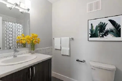 1 Bedroom Apartment for Rent - 395 Cote-Vertu, 1105 Jules Poitra Image# 1