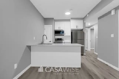 Charming 1Bed Den/1Bath Basement Suite Near Northgate Image# 1