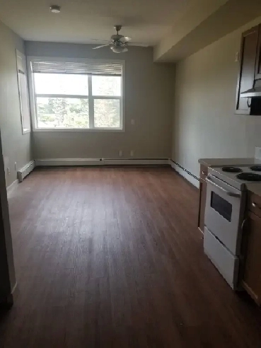 1 bdr apartment and 1 studio for rent Image# 1